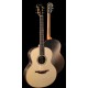 CHITARA ACUSTICA LOWDEN GUITARS F-35C