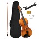 VIOARA ACUSTICA CASCHA HH 2133