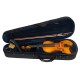 VIOARA ACUSTICA CASCHA HH 2133