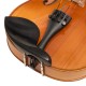 VIOARA ACUSTICA CASCHA HH 2133