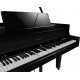 PIAN DIGITAL ROLAND GP-9M Polished Ebony