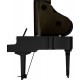 PIAN DIGITAL ROLAND GP-9 Polished Ebony