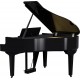 PIAN DIGITAL ROLAND GP-9 Polished Ebony