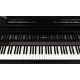 PIAN DIGITAL ROLAND GP-9 Polished Ebony