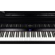 PIAN DIGITAL ROLAND GP-9 Polished Ebony