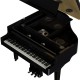 PIAN DIGITAL ROLAND GP-9 Polished Ebony