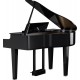 PIAN DIGITAL ROLAND GP-6 Polished Ebony