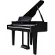 PIAN DIGITAL ROLAND GP-6 Polished Ebony