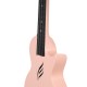 UKULELE CONCERT CASCHA HH-2288